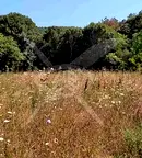 Парцел в Бургас, Приморско