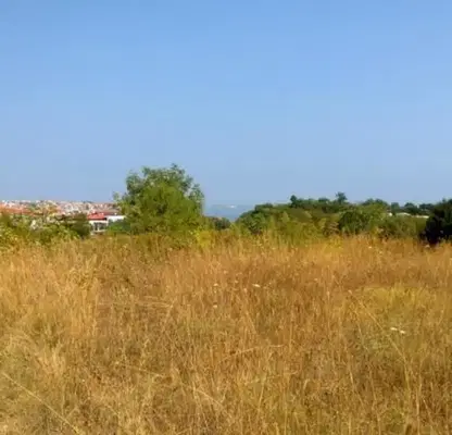 Снимка 5 — Парцел в Бургас, Созопол