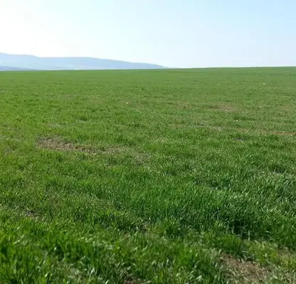 Photo 3 — Plot in Oblast Burgas, Aleksandrovo