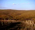 Снимка 2 — Парцел в Бургас, с. Баня