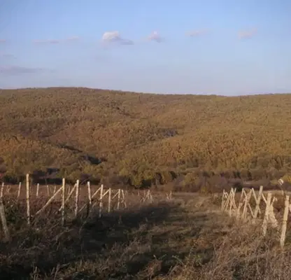 Снимка 2 — Парцел в Бургас, с. Баня