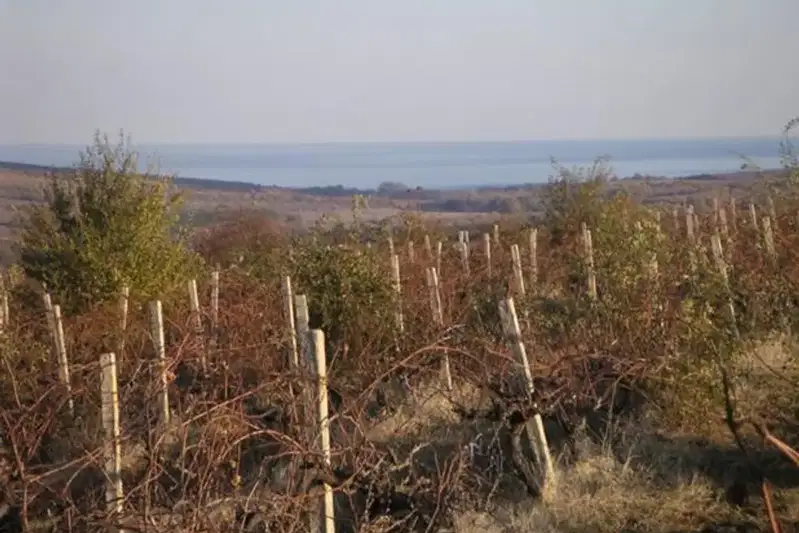 Парцел в Бургас, с. Баня