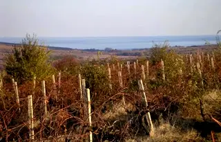 Парцел в Бургас, с. Баня