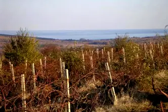 Парцел в Бургас, с. Баня