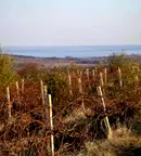 Парцел в Бургас, с. Баня
