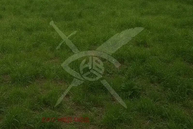 Plot in Oblast Burgas, Banya
