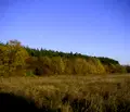 Снимка 2 — Парцел в Бургас, с. Баня