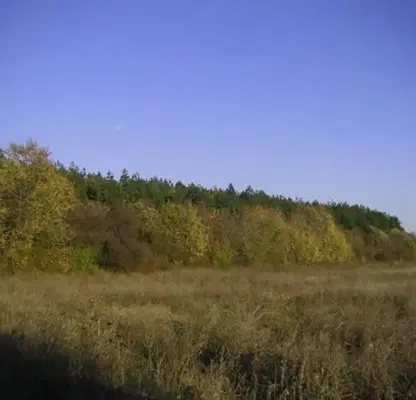 Снимка 2 — Парцел в Бургас, с. Баня