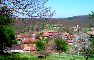Парцел в Бургас, с. Бръшлян