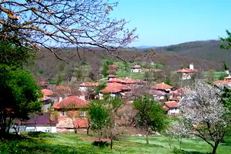 Парцел в Бургас, с. Бръшлян