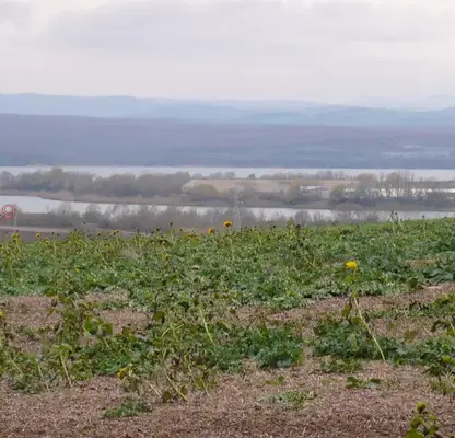 Photo 5 — Plot in Oblast Burgas, Cherni Vryh