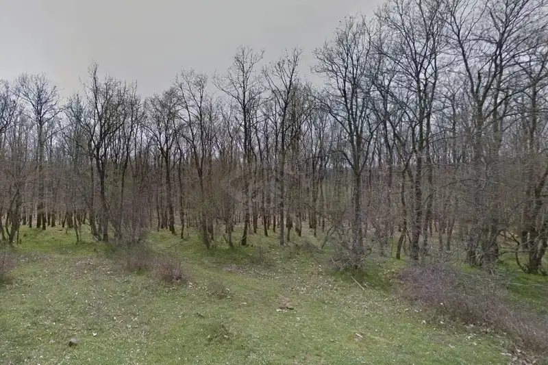 Plot in Oblast Burgas, Devetak