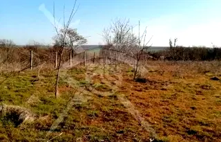 Парцел в Бургас, с. Дюлево