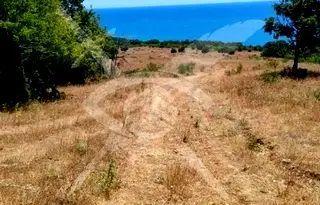 Парцел в Бургас, с. Емона