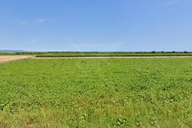 Plot in Oblast Burgas, Grozden