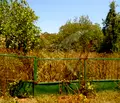 Снимка 2 — Парцел в Бургас, с. Кондолово