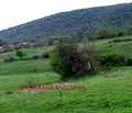 Снимка 2 — Парцел в Бургас, с. Медово