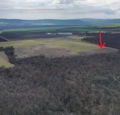 Снимка 4 — Парцел в Бургас, с. Порой