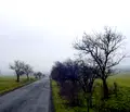 Снимка 4 — Парцел в Бургас, с. Равна гора