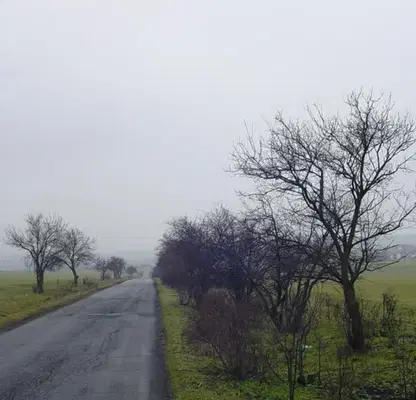 Снимка 4 — Парцел в Бургас, с. Равна гора