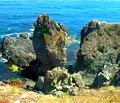 Снимка 4 — Парцел в Бургас, с. Резово