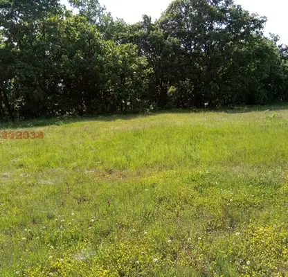 Photo 3 — Plot in Burgas, Rezovo