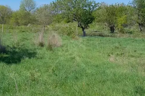 Plot in Oblast Burgas, Suhodol