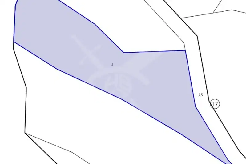Plot in Oblast Burgas, Trynak
