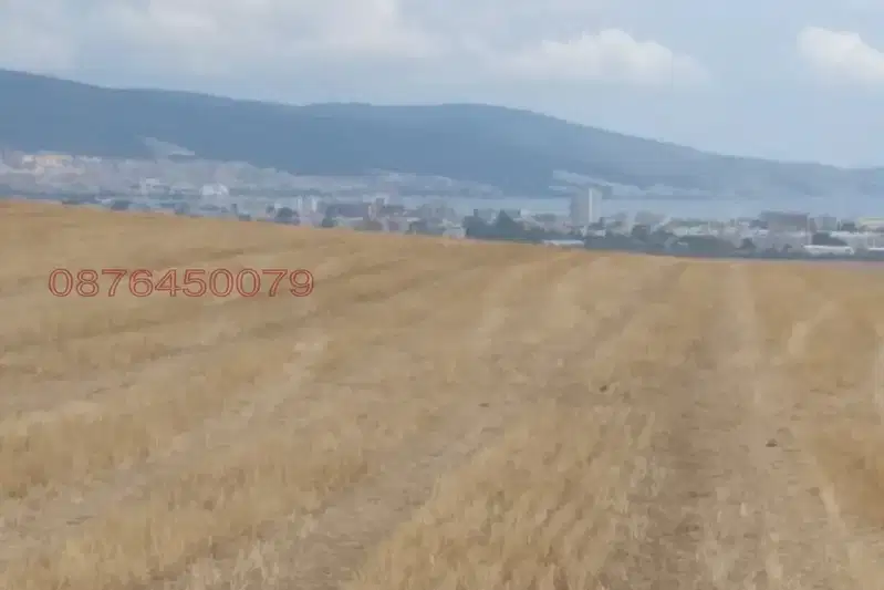 Plot in Oblast Burgas, Tynkovo