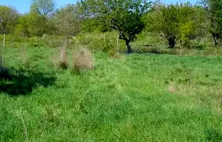 Парцел в Бургас, с. Тънково