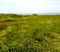 Снимка 4 — Парцел в Бургас, с. Варвара