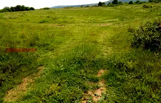 Парцел в Бургас, с. Варвара