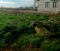 Снимка 3 — Парцел в Добрич, Каварна