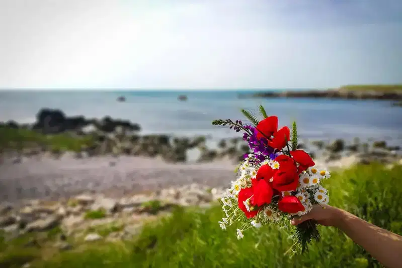 Парцел в Добрич, Шабла