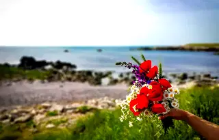Парцел в Добрич, Шабла