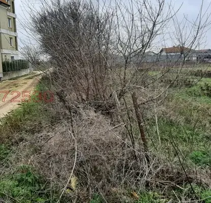 Photo 4 — Plot in Oblast Dobrich, Bojurec