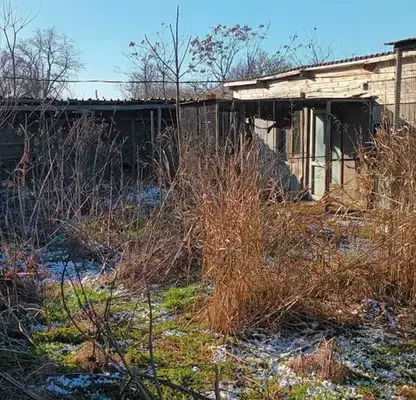 Photo 2 — Plot in Oblast Dobrich, Bylgarevo