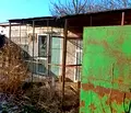 Снимка 3 — Парцел в Добрич, с. Българево