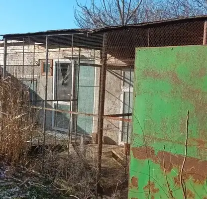 Photo 3 — Plot in Oblast Dobrich, Bylgarevo