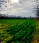 Парцел в Добрич, с. Дуранкулак