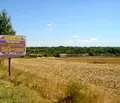 Снимка 3 — Парцел в Добрич, с. Кранево