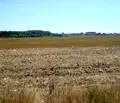 Снимка 4 — Парцел в Добрич, с. Кранево