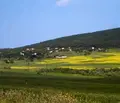 Снимка 2 — Парцел в Добрич, с. Кранево