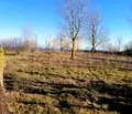 Снимка 3 — Парцел в Добрич, с. Крапец