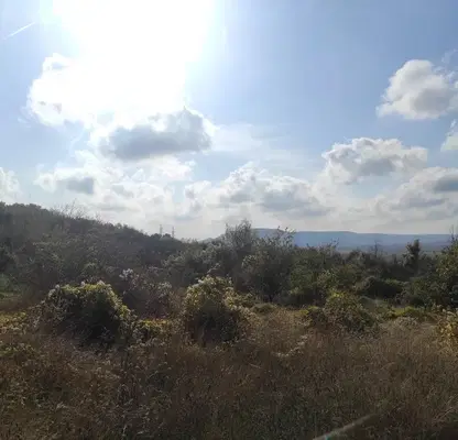 Photo 2 — Plot in Oblast Dobrich, Obrochishte