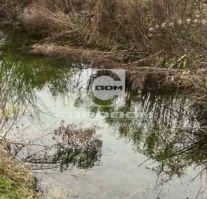 Снимка 2 — Парцел в Добрич, с. Прилеп