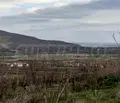 Снимка 4 — Парцел в Добрич, с. Рогачево