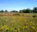 Снимка 4 — Парцел в Добрич, с. Топола