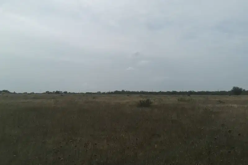 Парцел в Добрич, с. Топола