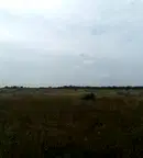Парцел в Добрич, с. Топола